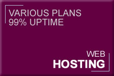 Web Hosting